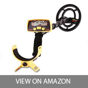 Best Metal Detector For The Money